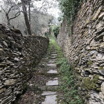 Sentiero e muretti in ardesia. Foto di Dynamoscopio
