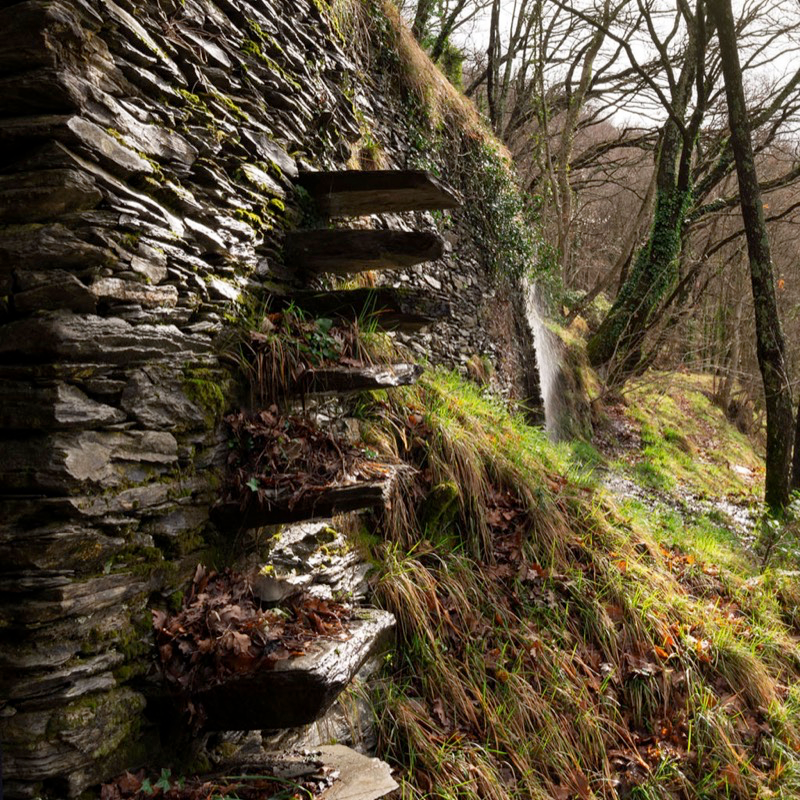 Scale sospese fra le fasce in pendenza. Foto di Davide Barbieri