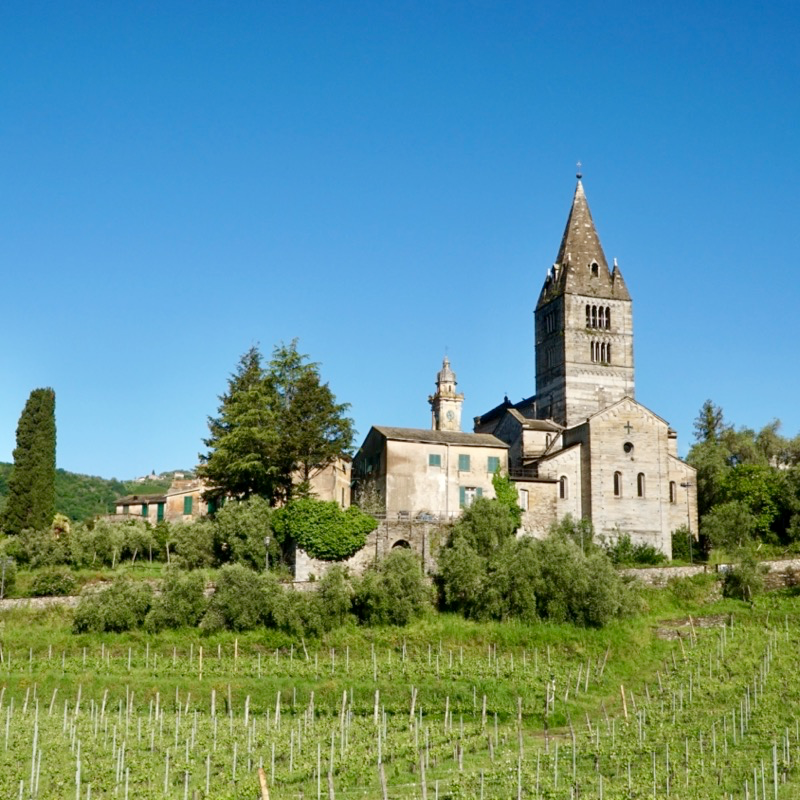 Basilica dei Fieschi, San Salvatore di Cogorno. Foto di Dynamoscopio