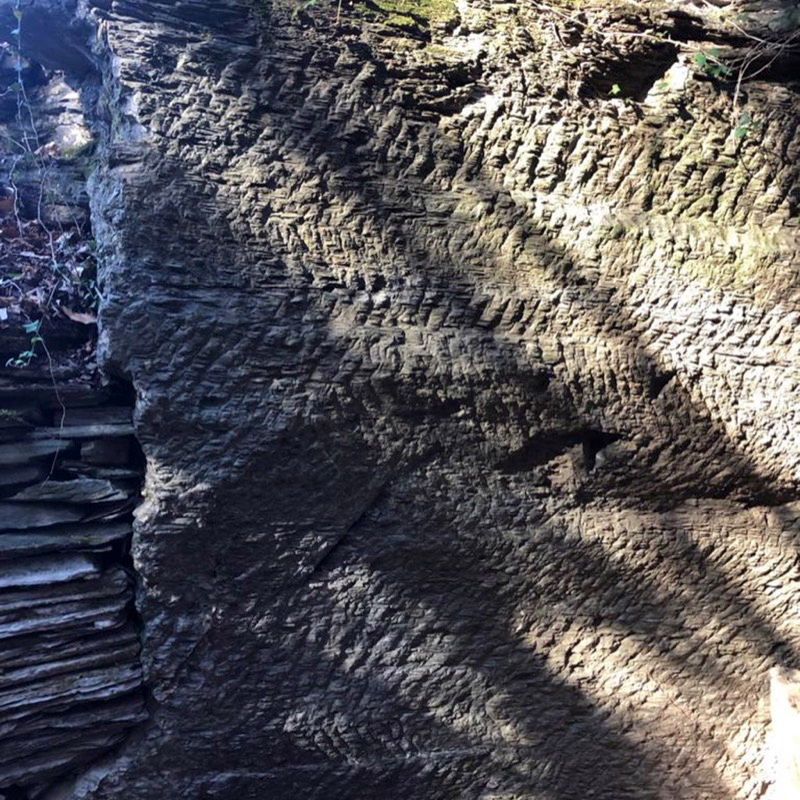 Segni dello scalpello all'ingresso di una antica cava sul Monte Capenardo. Foto di Davide Barbieri