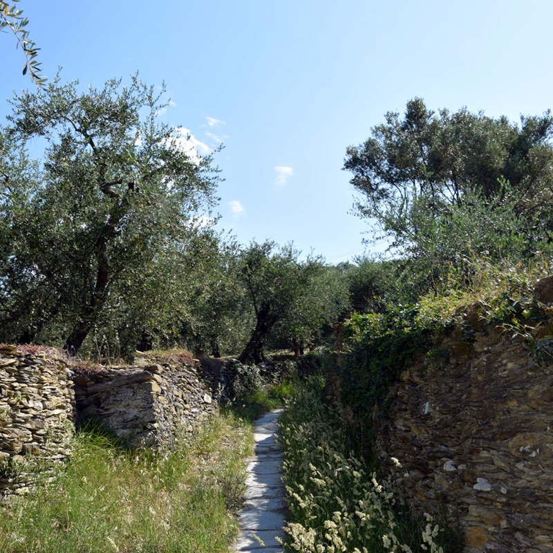 Sentiero lastricato in ardesia, località Santa Giulia, Lavagna. Foto concessa da Comune di Lavagna