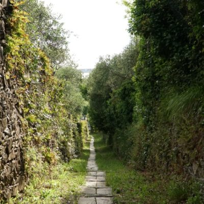 Sentiero lastricato fra terrazzamenti, fra Santa Giulia e Lavagna. Foto di Dynamoscopio
