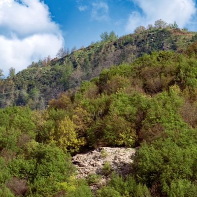 'Ciappaia' di cava abbandonata sul Monte Capenardo. Foto di Davide Barbieri
