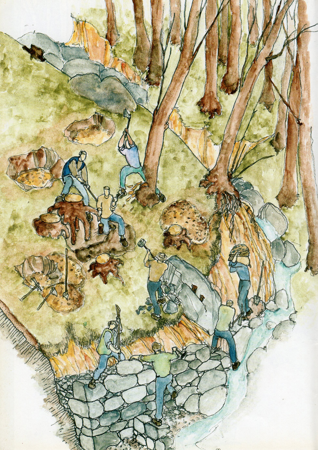 Costruzione delle fasce. Tavola 2. Illustrazione di Renata Allegri, tratta da Allegri R., “Il paesaggio ligure, un mondo di pietra, la costruzione dei terrazzamenti”, Regione Liguria-Assessorato alle Politiche dell’Agricoltura e dell’Entroterra, Genova, De Ferrari&Devega, 2003