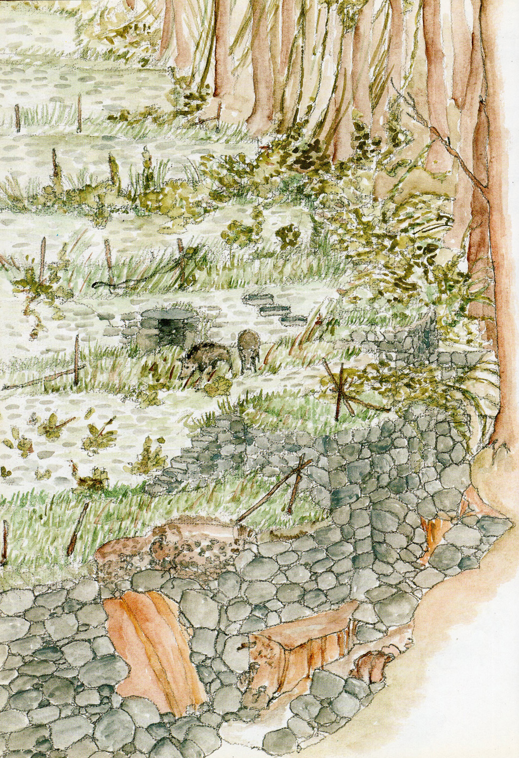 Costruzione delle fasce. Tavola 6. Illustrazione di Renata Allegri, tratta da Allegri R., “Il paesaggio ligure, un mondo di pietra, la costruzione dei terrazzamenti”, Regione Liguria-Assessorato alle Politiche dell’Agricoltura e dell’Entroterra, Genova, De Ferrari&Devega, 2003
