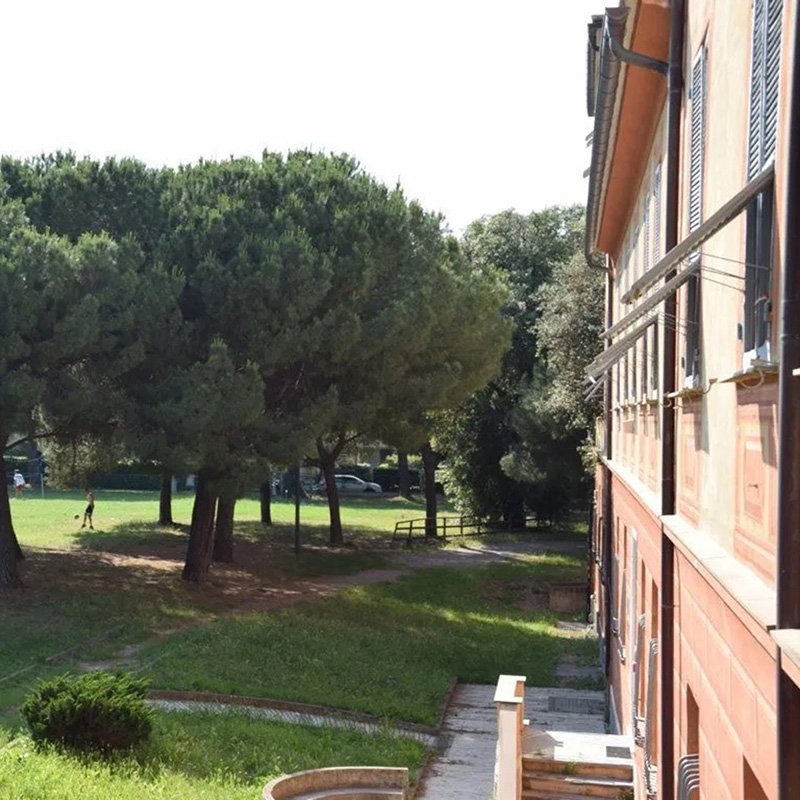 Foto di Dynamoscopio