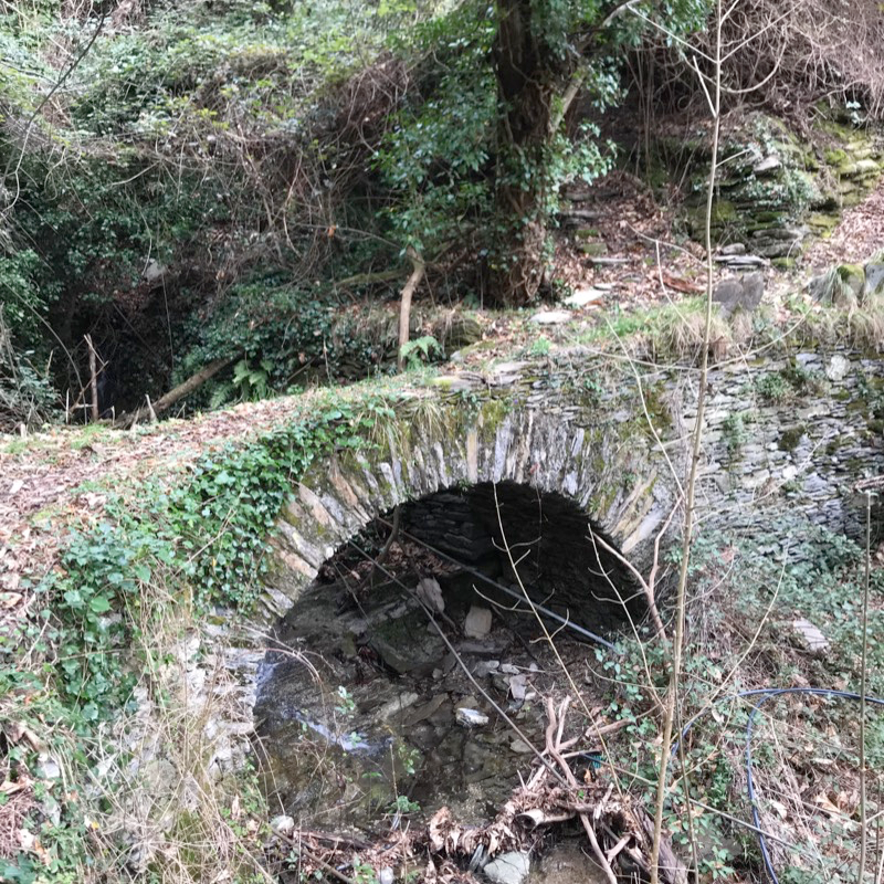 Ponte antico nella Selva del Monte Costello. Foto concessa da Pietre Parlanti