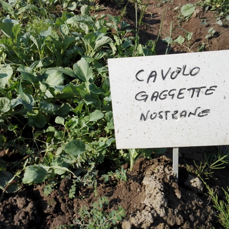 Foto concessa da Giorgio 'Getto' Viarengo