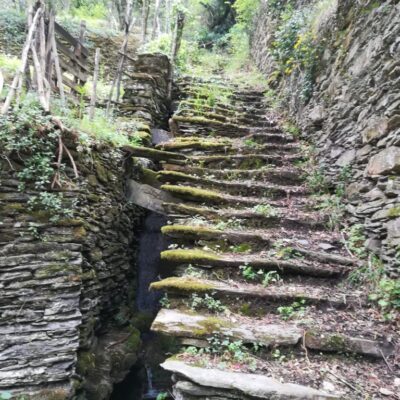 Foto concessa da Pietre Parlanti