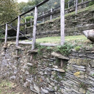 Foto concessa da Pietre Parlanti