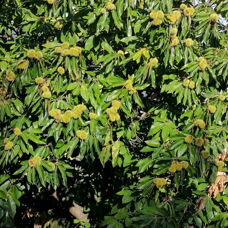 Foto concessa da Giorgio 'Getto' Viarengo