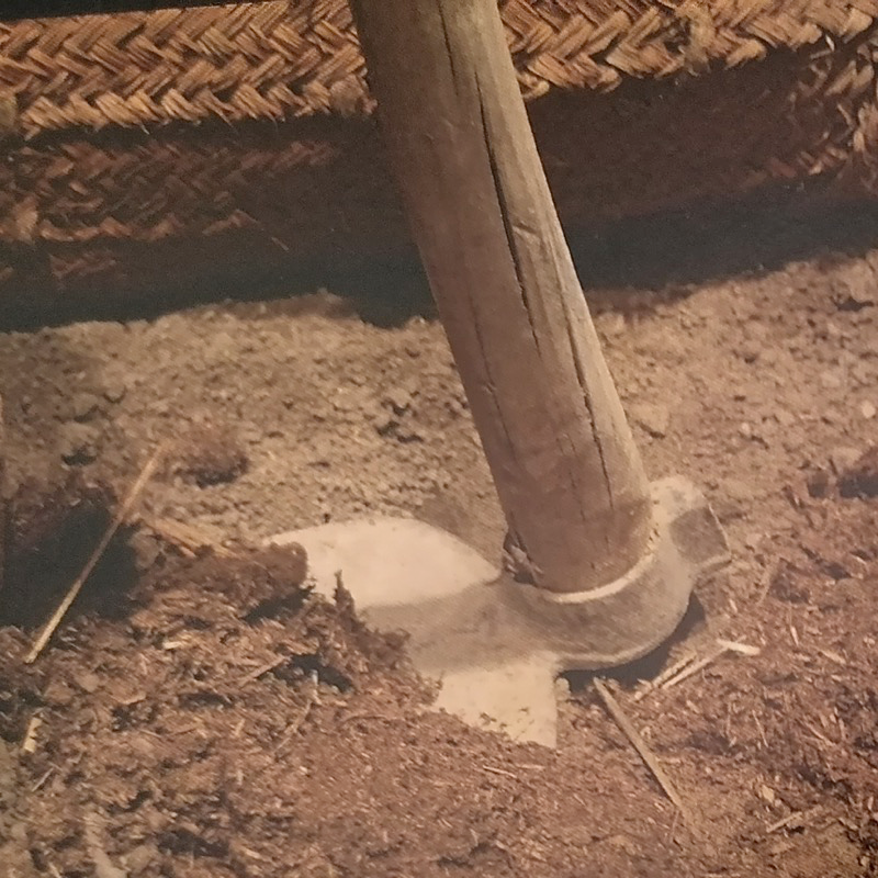 Foto concessa da Giorgio 'Getto' Viarengo