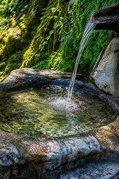 Nutrirsi d'acqua