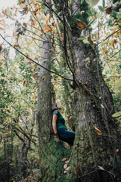 Forest Bathing Caucaso 400x600