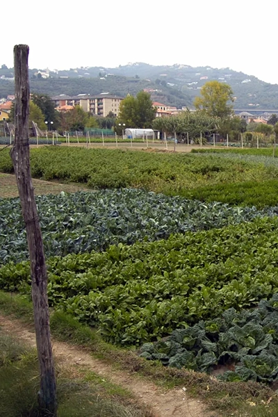 L Acquolina in bocca