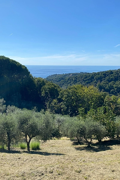 Portofino 400x600