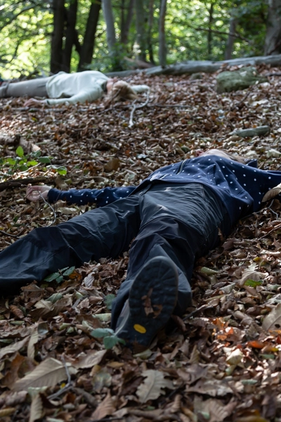 Forest Bathing Zatta